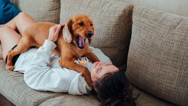 mulher brincando com cachorro no sofá após limpar casa com aspirador