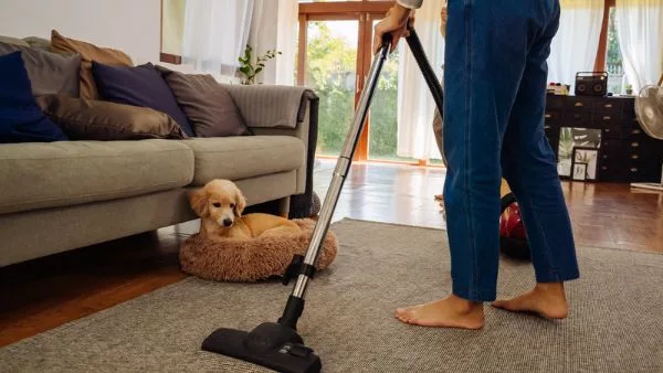 mulher passando aspirador de pó doméstico no tapete da casa com cachorro ao lado